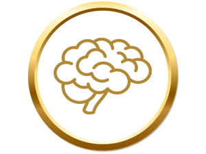 Desenvolvimento cerebral