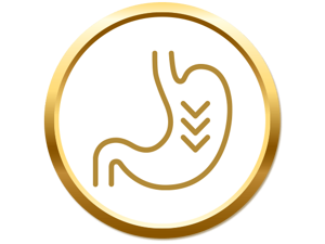 Saúde intestinal