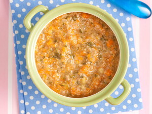 Papinha de Abóbora e Abobrinha com Carne Papinha de Abóbora e Abobrinha com Carne