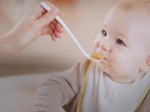 A AVEIA: um importante cereal na Nutrição Infantil