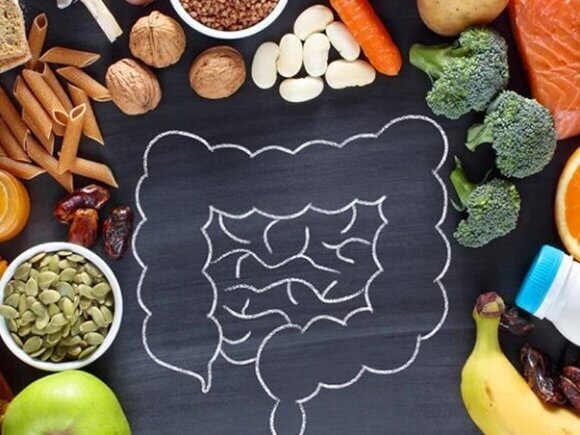 Imagem com um desenho de um intestino com várias frutas, legumes e ingredientes em gerais 