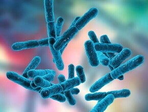 Imagem em close-up ilustrativa de bactérias do tipo Bifidobacterium, representadas em tons de azul sobre um fundo colorido desfocado. Imagem em close-up ilustrativa de bactérias do tipo Bifidobacterium, representadas em tons de azul sobre um fundo colorido desfocado.