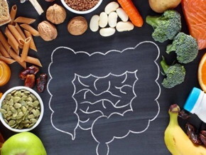 Imagem com um desenho de um intestino com várias frutas, legumes e ingredientes em gerais 