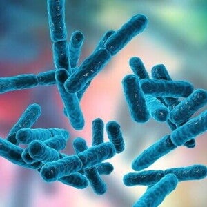 Imagem em close-up ilustrativa de bactérias do tipo Bifidobacterium, representadas em tons de azul sobre um fundo colorido desfocado. Imagem em close-up ilustrativa de bactérias do tipo Bifidobacterium, representadas em tons de azul sobre um fundo colorido desfocado.