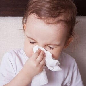 Bebê segura um lenço branco próximo ao nariz, sugerindo que está limpando secreção nasal, em um ambiente doméstico. Bebê segura um lenço branco próximo ao nariz, sugerindo que está limpando secreção nasal, em um ambiente doméstico.