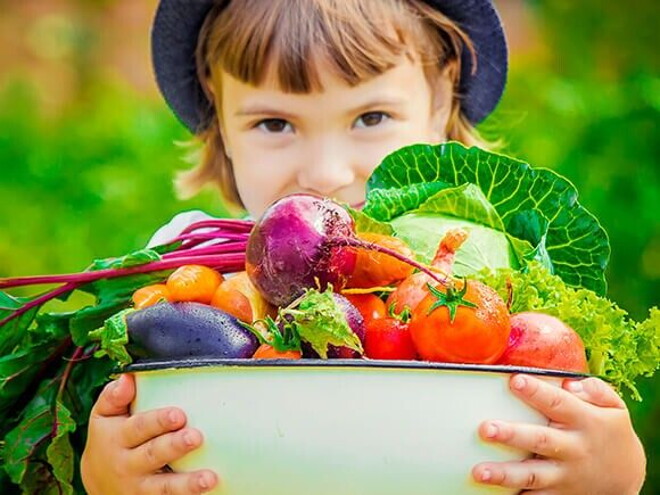 Alimentos de origem vegetal ricos em proteínas Alimentos de origem vegetal ricos em proteínas