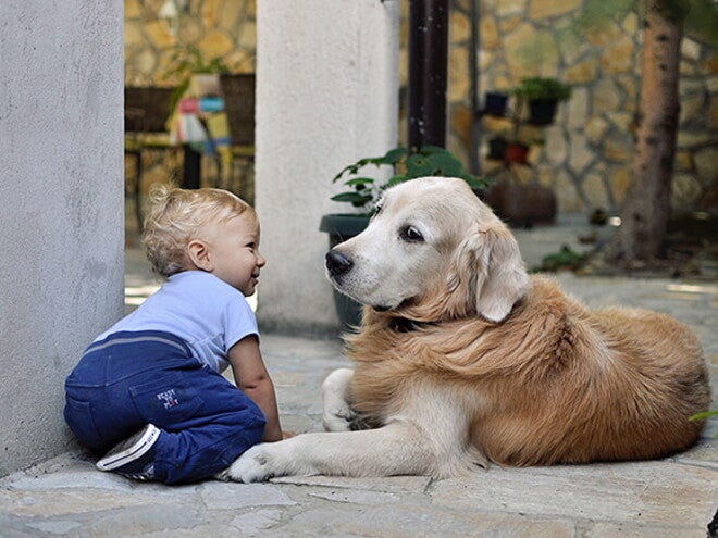 cachorro e bebê