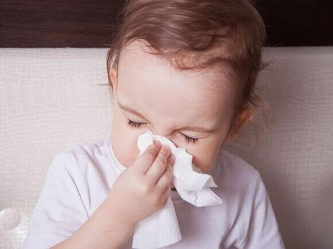 Bebê segura um lenço branco próximo ao nariz, sugerindo que está limpando secreção nasal, em um ambiente doméstico. Bebê segura um lenço branco próximo ao nariz, sugerindo que está limpando secreção nasal, em um ambiente doméstico.