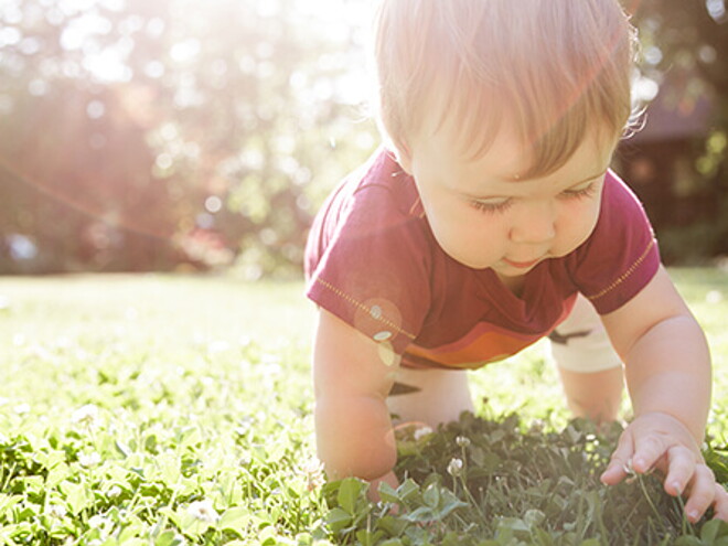 dicas ambientalmente corretas para bebes