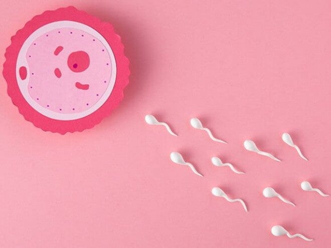 ilustração de espermatozoides em direção ao óvulo ilustração de espermatozoides em direção ao óvulo
