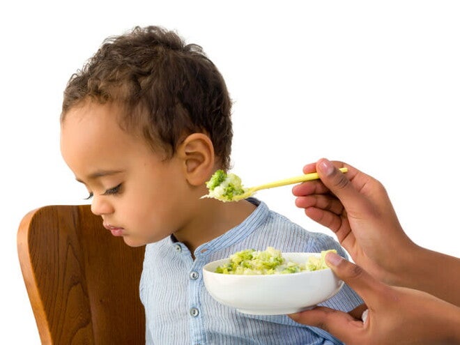 Criança difícil para comer Criança difícil para comer