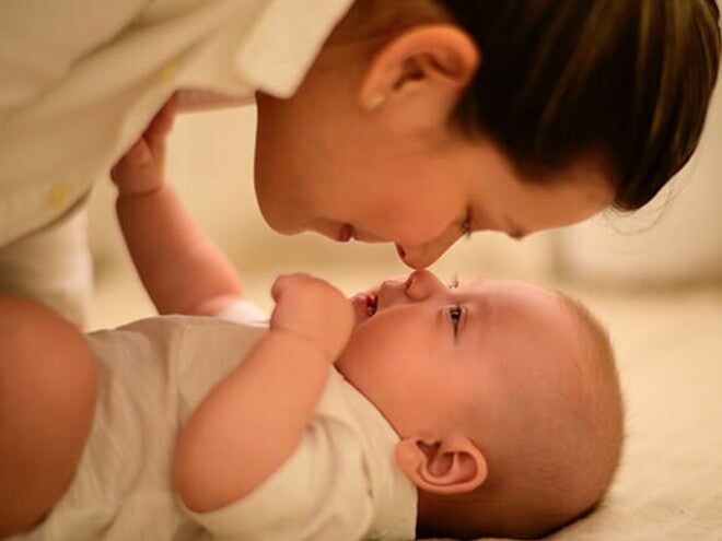 O que é a microflora e por que afeta na cólica do meu bebê? O que é a microflora e por que afeta na cólica do meu bebê?