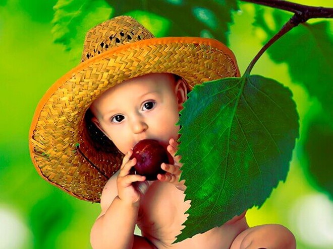Por quanto tempo devo dar um novo alimento ao meu bebê? Por quanto tempo devo dar um novo alimento ao meu bebê?