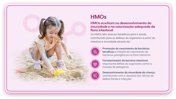 HMOs banner HMOs banner