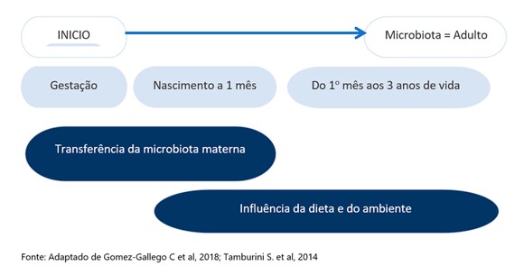 Figura 2. Desenvolvimento da microbiota do bebê 
